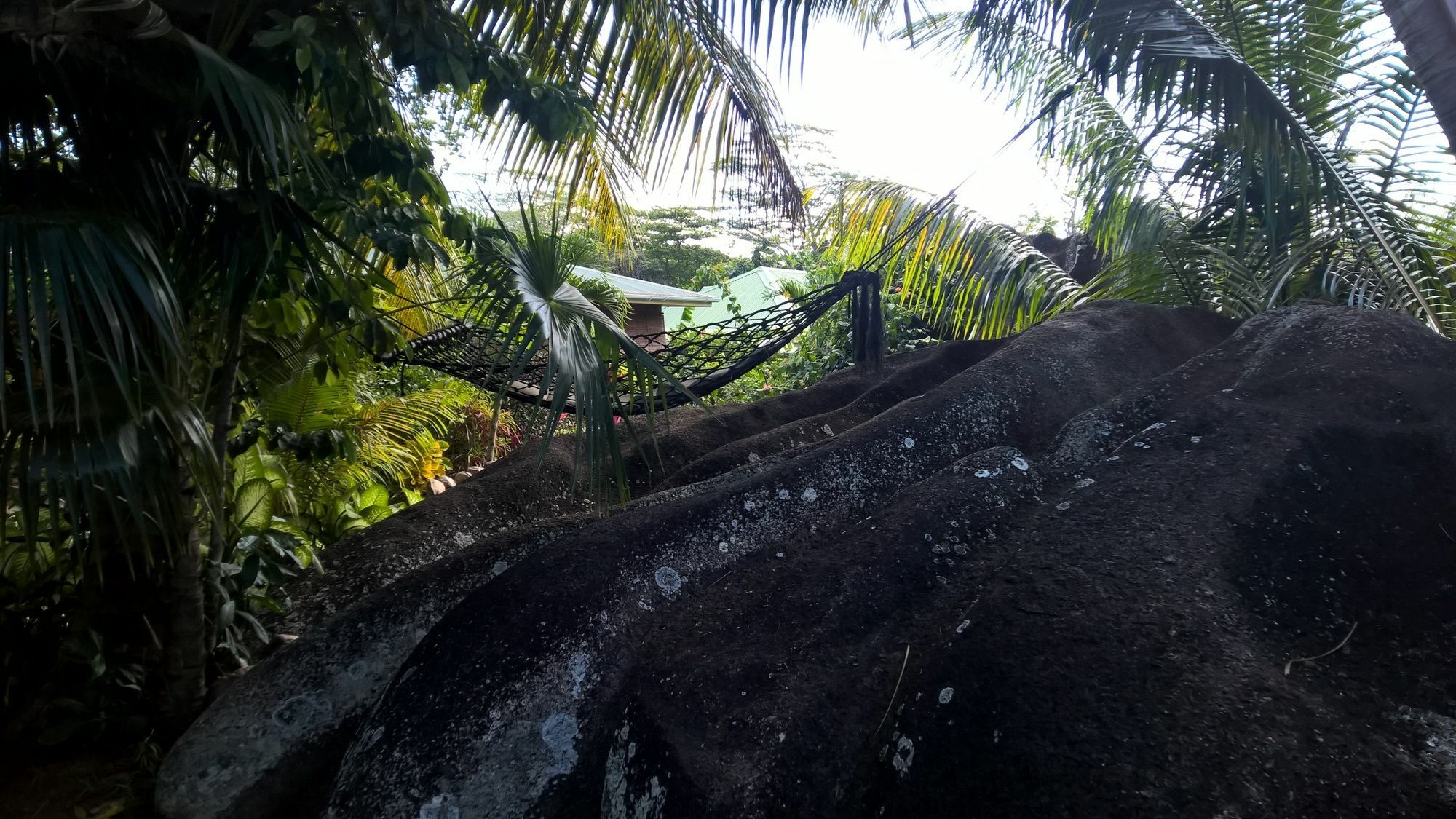 Cocotier Du Rocher La Digue Dış mekan fotoğraf