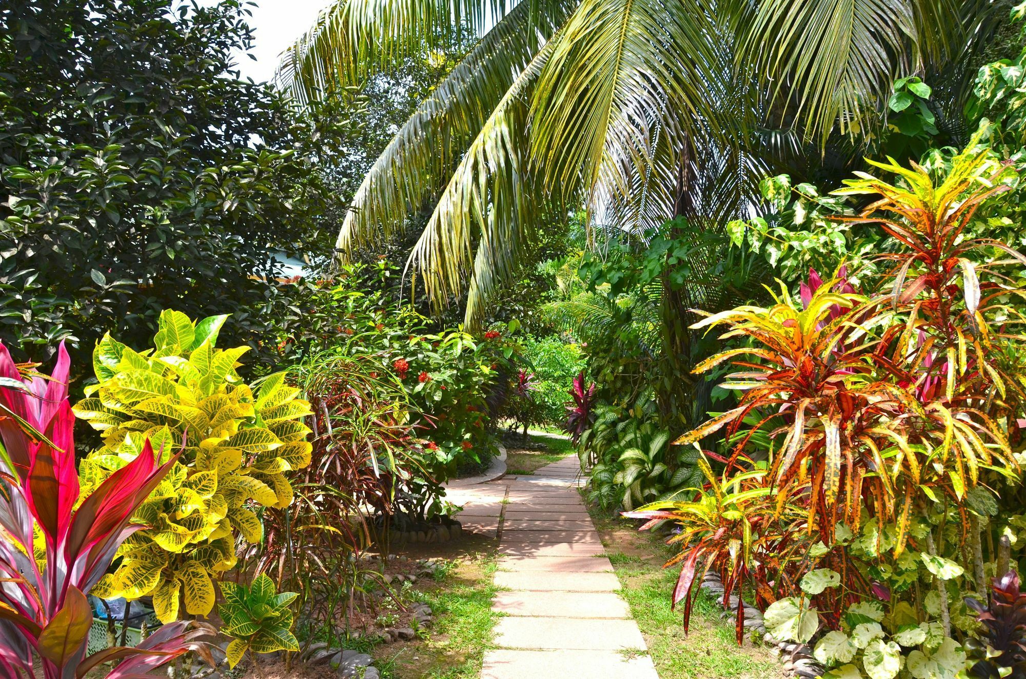 Cocotier Du Rocher La Digue Dış mekan fotoğraf