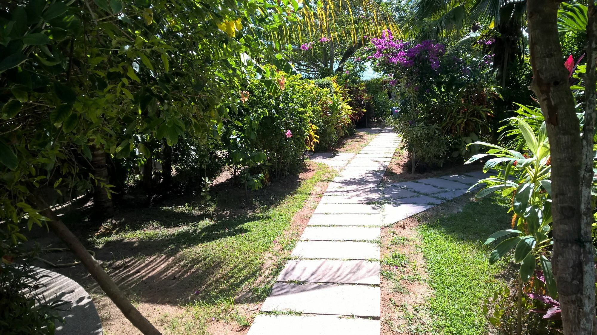 Cocotier Du Rocher La Digue Dış mekan fotoğraf