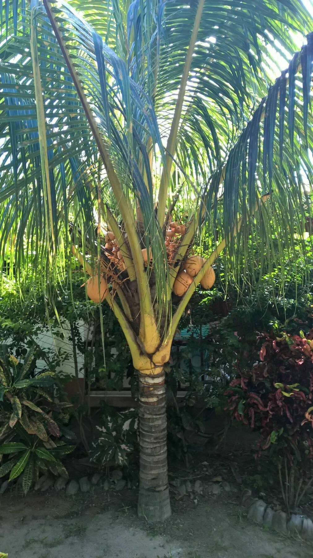 Cocotier Du Rocher La Digue Dış mekan fotoğraf