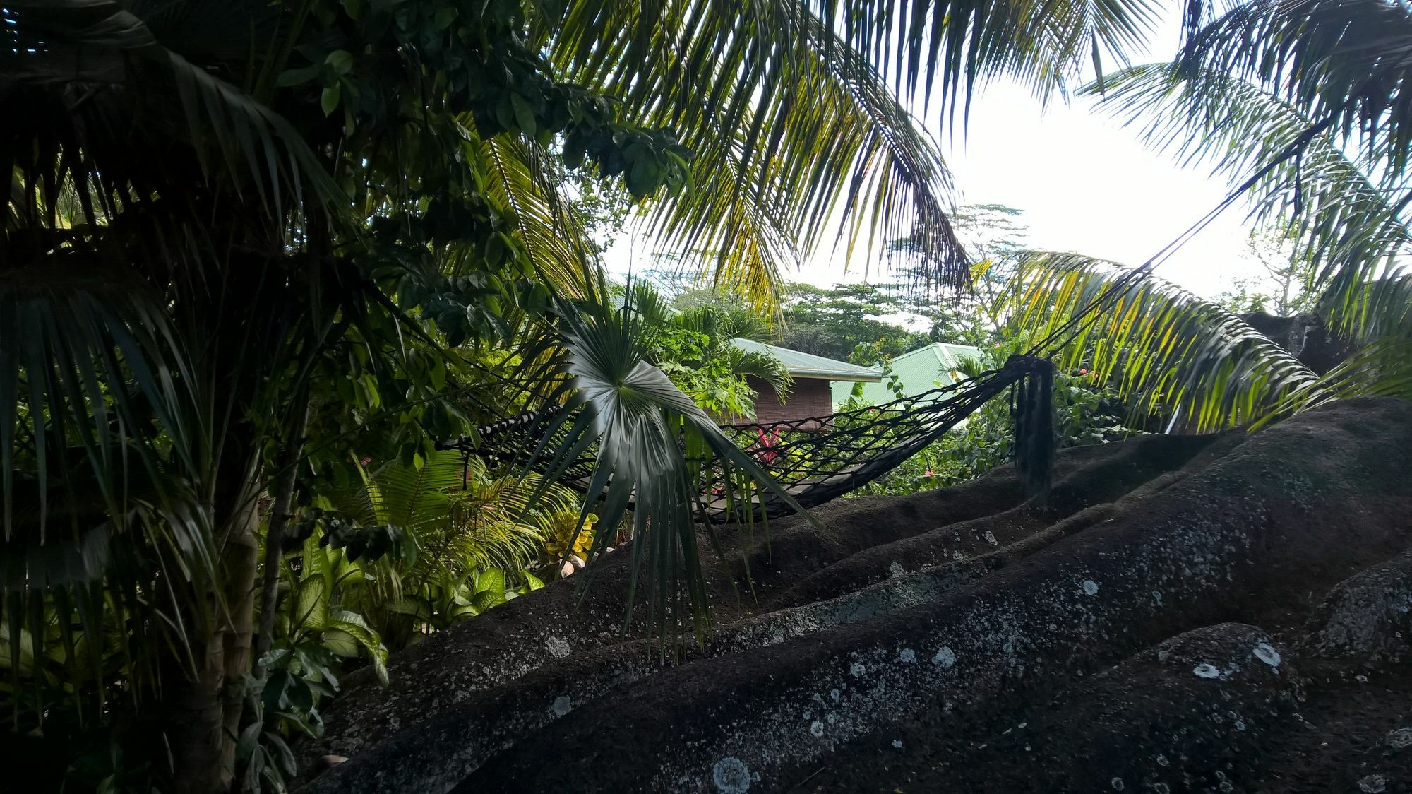 Cocotier Du Rocher La Digue Dış mekan fotoğraf