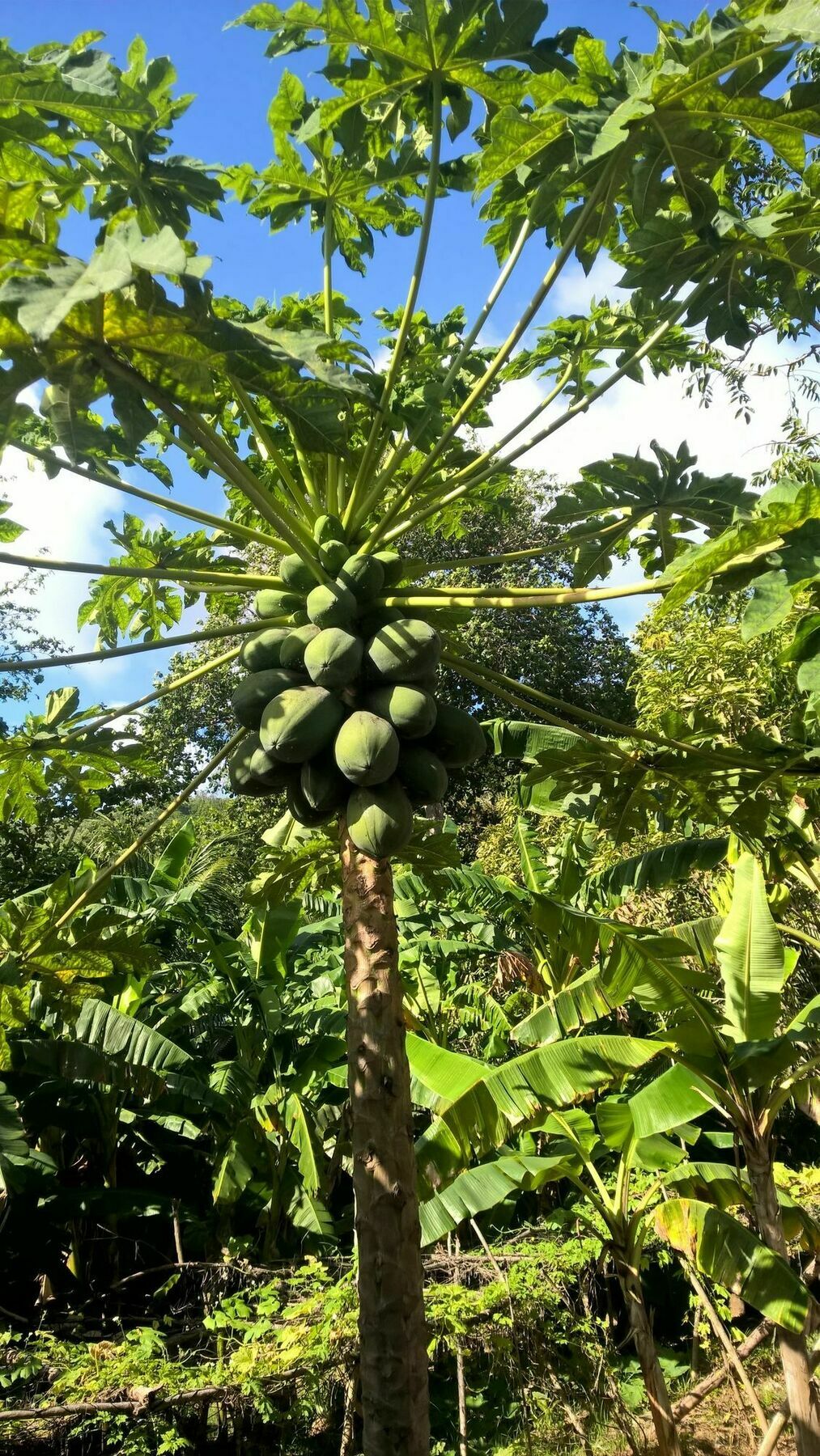 Cocotier Du Rocher La Digue Dış mekan fotoğraf