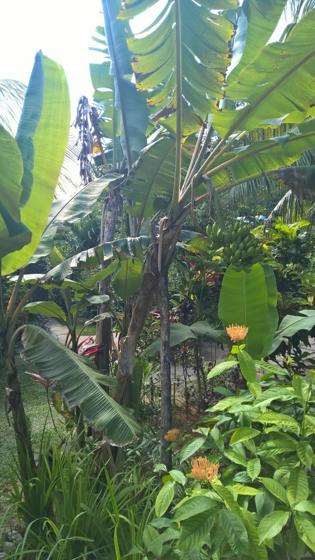 Cocotier Du Rocher La Digue Dış mekan fotoğraf