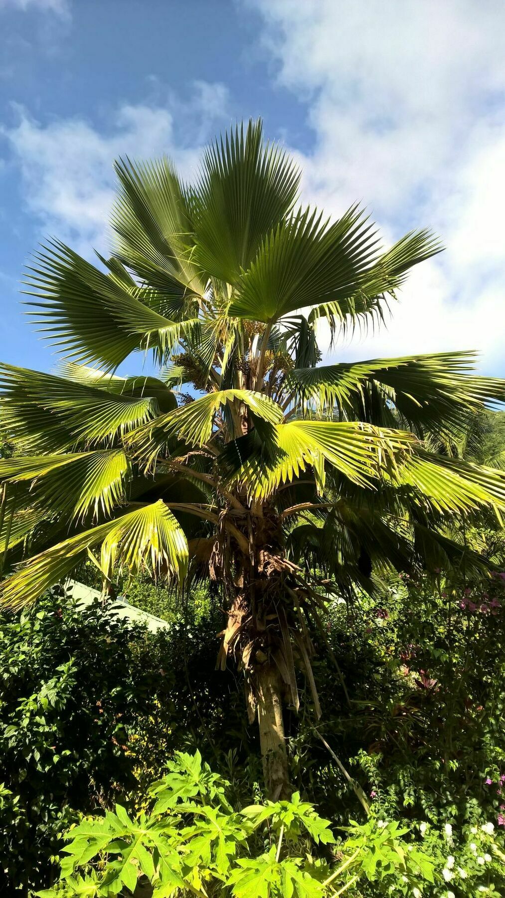 Cocotier Du Rocher La Digue Dış mekan fotoğraf