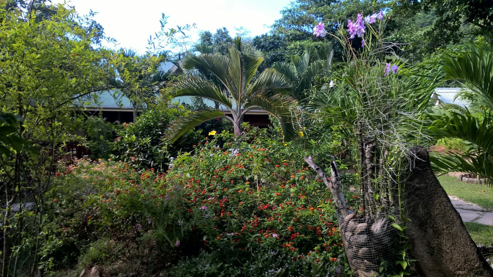 Cocotier Du Rocher La Digue Dış mekan fotoğraf