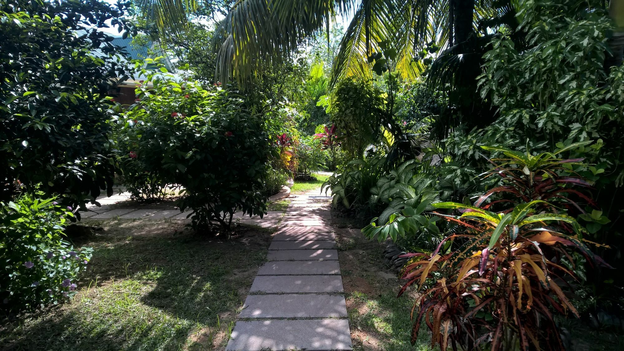 Cocotier Du Rocher La Digue Dış mekan fotoğraf