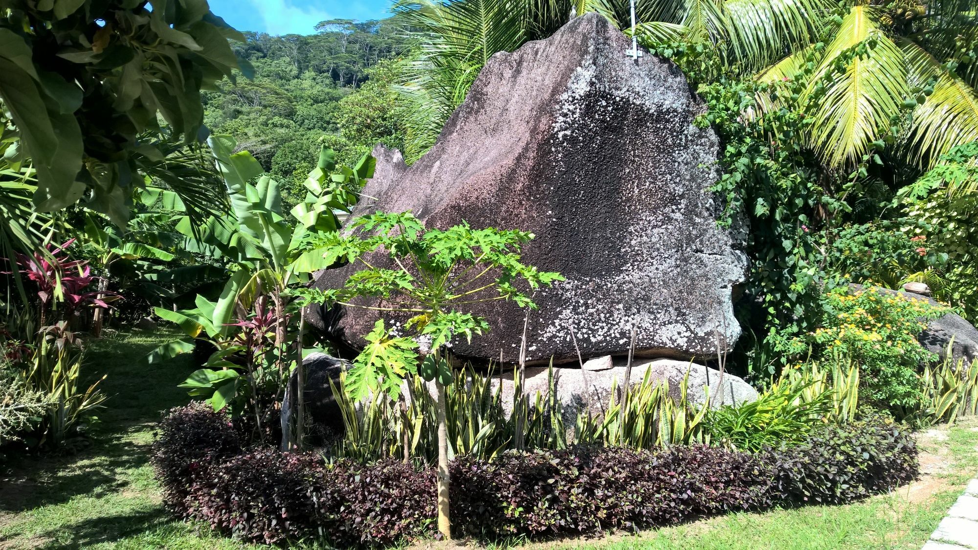 Cocotier Du Rocher La Digue Dış mekan fotoğraf