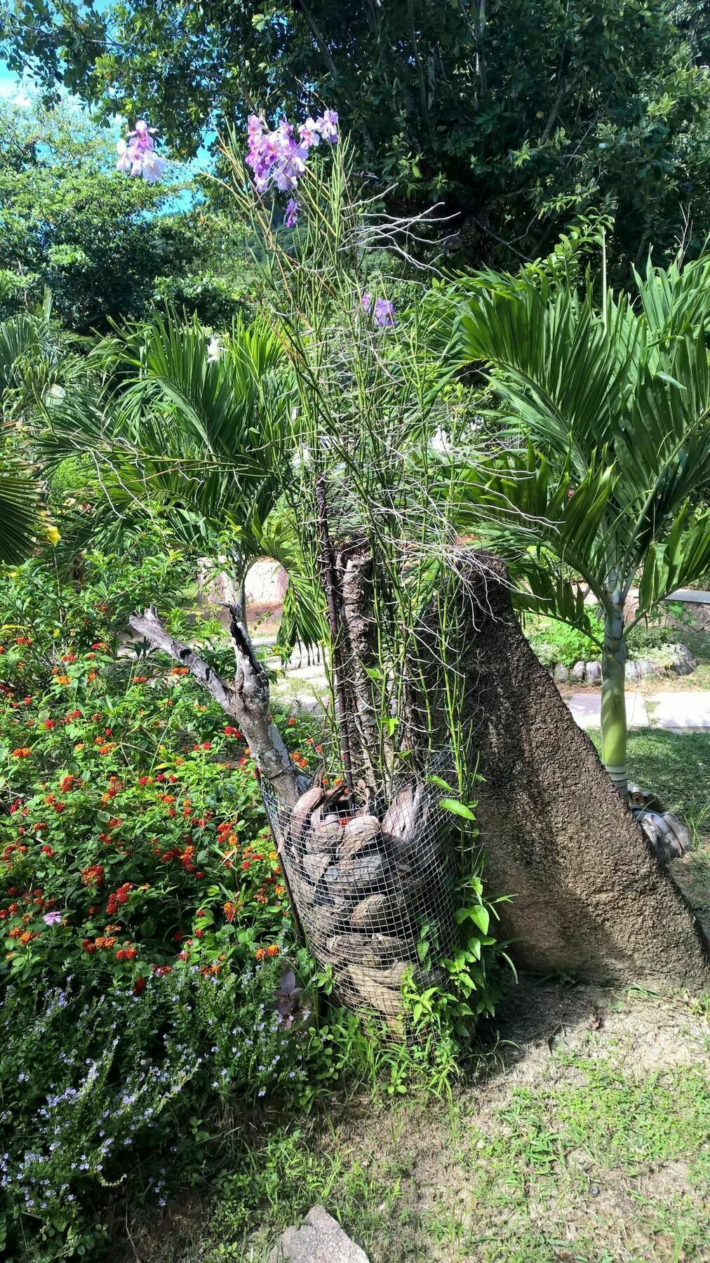 Cocotier Du Rocher La Digue Dış mekan fotoğraf