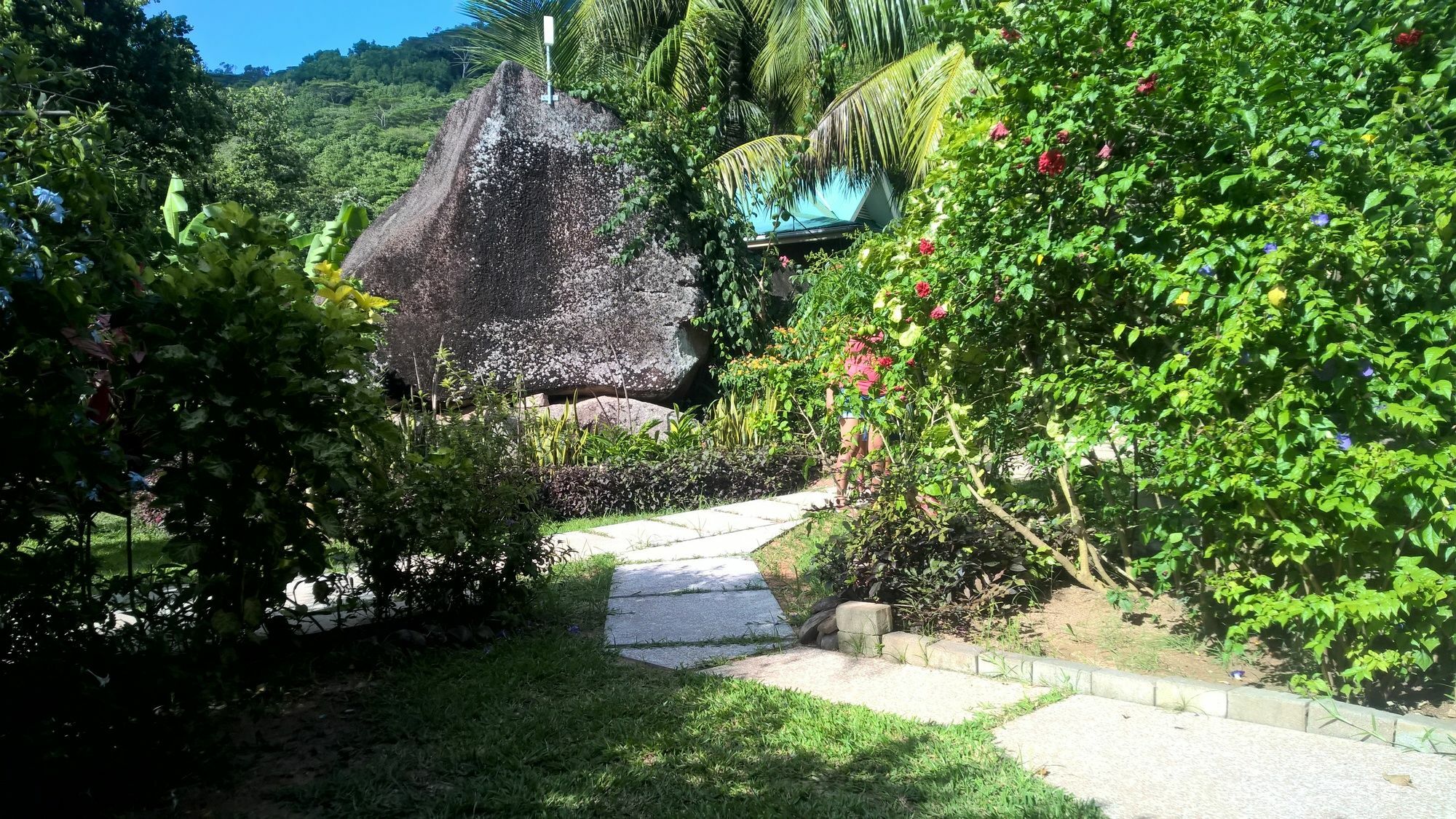 Cocotier Du Rocher La Digue Dış mekan fotoğraf